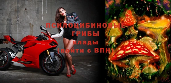 Альфа ПВП Белокуриха