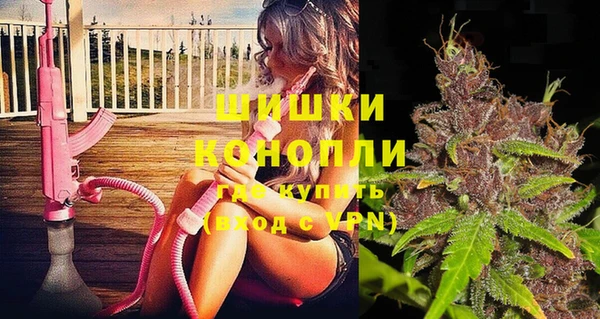 Альфа ПВП Белокуриха