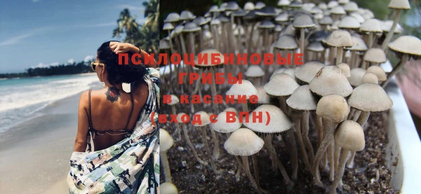 Альфа ПВП Белокуриха