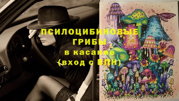 Альфа ПВП Белокуриха